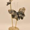 butterflystand_2b_DSC_7626